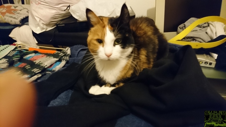 acc%3D1%3Bdoc%3D10869