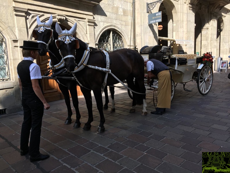 hochzeit-20180914-WA0015