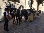 hochzeit-20180914-WA0021