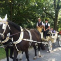 hochzeit-20180917-WA0002