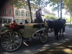 hochzeit-20180917-WA0005