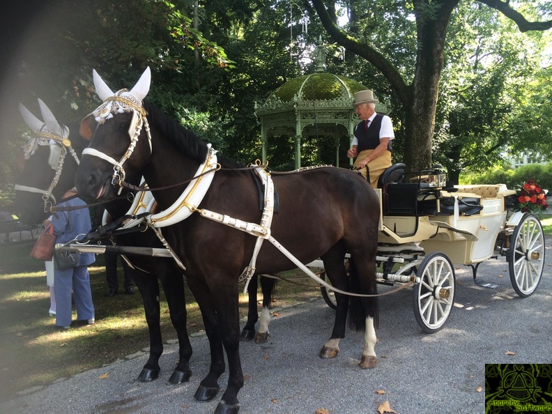 hochzeit-20180917-WA0006